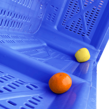 interior de un palot de plástico ambombado bombé de sumooak